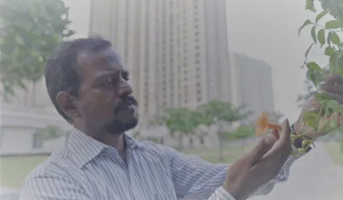 Meet the Horticulturist behind Your Dream Home! | Stories of Passion & Pride by House of Hiranandani